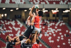 ng体育官网|埃贝尔预警，对阵葡体之战绝不轻松，堪比本菲卡一役